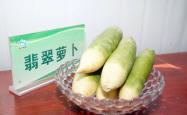 赤峰绿禾小米种植基地电话号码