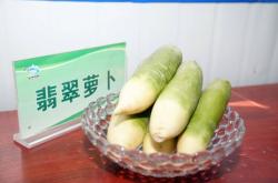 赤峰绿禾小米种植基地电话号码