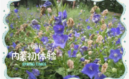 赤峰锦惠大药房电话号码查询