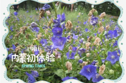 赤峰锦惠大药房电话号码查询