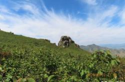 赤峰松山区安监站电话号码