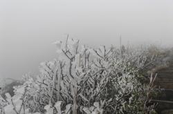 赤峰市春雪挂面厂电话号码