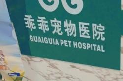 赤峰市宠物美容团购电话号码