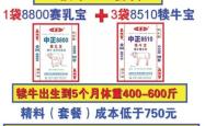 赤峰小奶制品厂电话地址查询