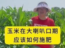 赤峰市玉米追肥厂家电话号码