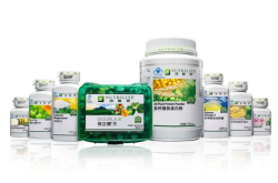 赤峰网红树苗经销商电话号码