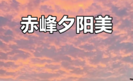 赤峰京香婚宴酒店电话号码多少