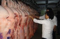 赤峰附近的猪肉屠宰场电话号码