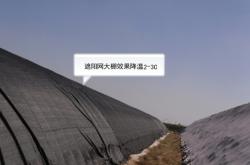 赤峰大棚遮阳网厂家电话号码