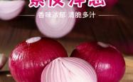 赤峰紫兴彩钢厂地址电话号码
