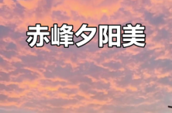 赤峰慕宗勋兽药店电话地址查询