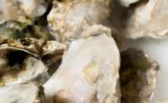 赤峰收旧盘子电话号码多少号