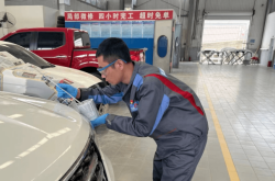 赤峰迪美宠物店电话地址查询