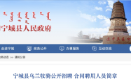 赤峰非公公司招聘网电话号码
