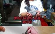赤峰市猫咪寄养电话号码查询