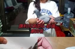 赤峰市猫咪寄养电话号码查询