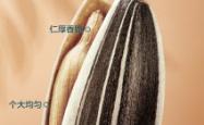 赤峰瓜子盒装厂家电话多少号