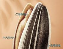 赤峰瓜子盒装厂家电话多少号