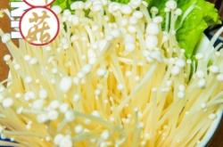 赤峰筷子包装厂电话号码查询