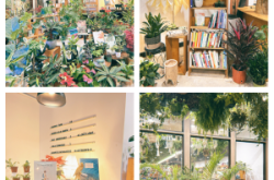 赤峰植物园书屋电话多少号