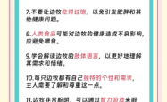 赤峰附近边牧狗舍电话地址是多少