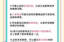赤峰附近边牧狗舍电话地址是多少