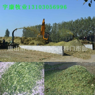 赤峰玉米青储回收公司电话号码-第1张图片