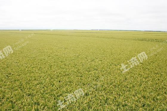 赤峰巴林右旗甜品店电话号码-第1张图片