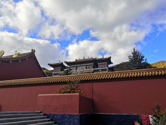 赤峰市美林镇宾馆电话号码-第1张图片