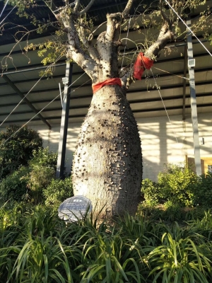 赤峰植物生态园电话号码查询-第1张图片
