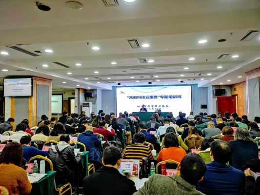 赤峰冰壶运动培训班电话号码-第1张图片