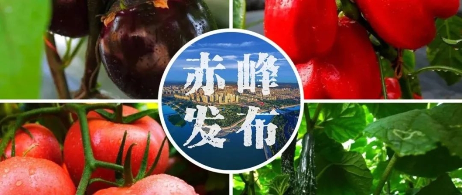 赤峰花菇基地电话多少号码-第1张图片
