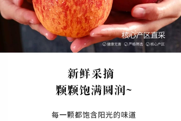 赤峰糖心苹果采摘基地电话号码-第1张图片