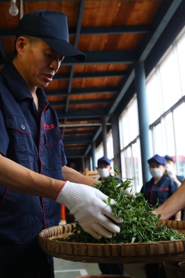 赤峰问道茶居电话多少啊-第1张图片