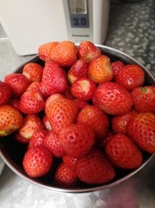 赤峰润泽水果店电话号码查询-第1张图片