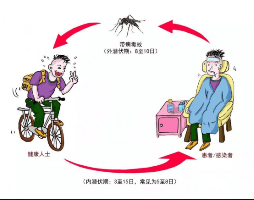 传染病直接传播是指-第1张图片