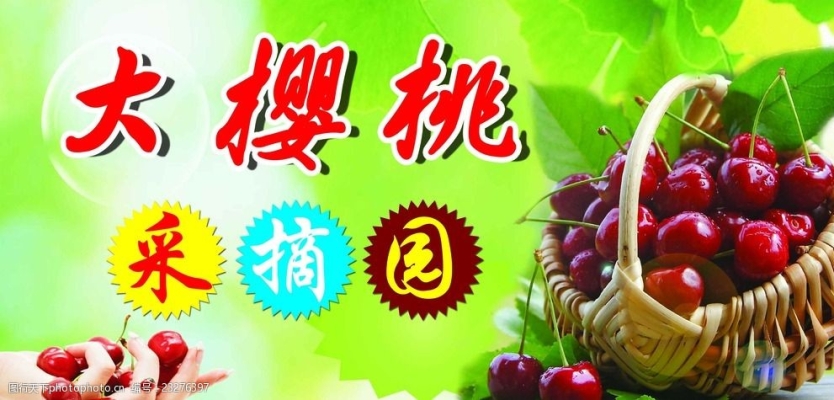 赤峰市大樱桃采摘园电话号码-第1张图片