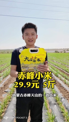 赤峰高档小米手机店电话号码-第1张图片