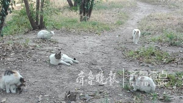 赤峰市送水猫电话地址查询-第1张图片