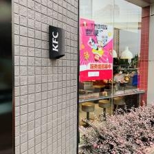 赤峰炸鸡火锅店电话号码多少-第1张图片