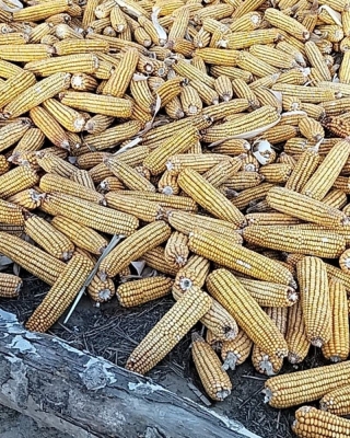 赤峰林西胶粘管厂家电话号码-第1张图片