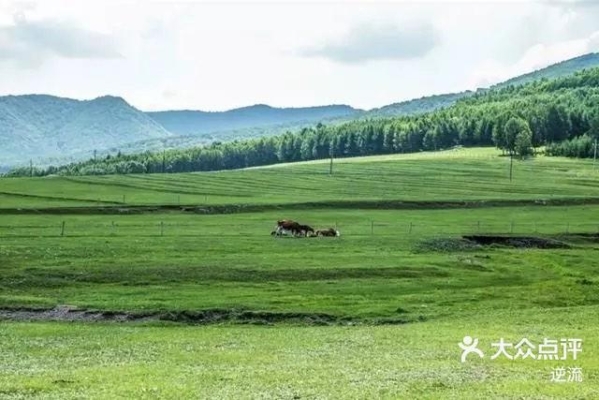 赤峰锦山苹果手机店电话地址-第1张图片
