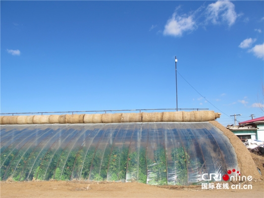 赤峰市结婚大棚厂家电话号码-第1张图片