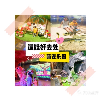 赤峰萌宠宠物乐园电话多少号-第1张图片