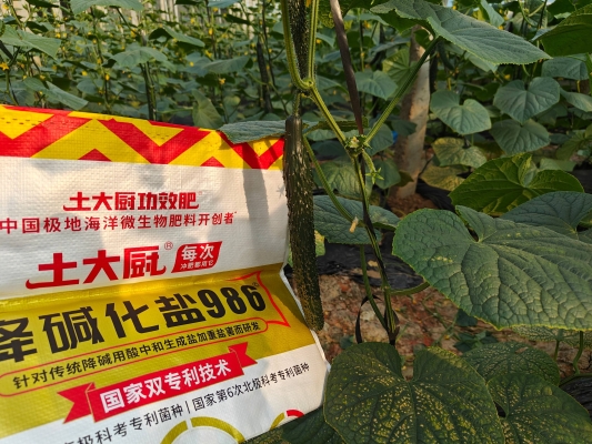 赤峰肥料水溶肥厂家电话号码-第1张图片