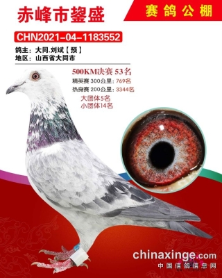 赤峰拍卖平台官网电话号码查询-第1张图片