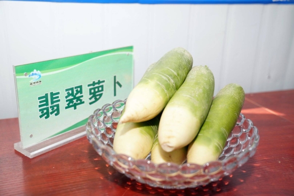赤峰绿禾小米种植基地电话号码-第1张图片