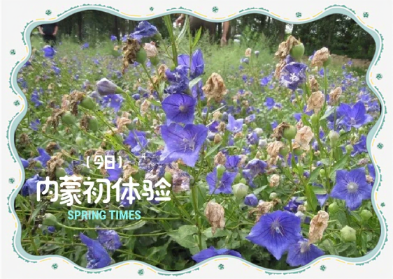 赤峰锦惠大药房电话号码查询-第1张图片