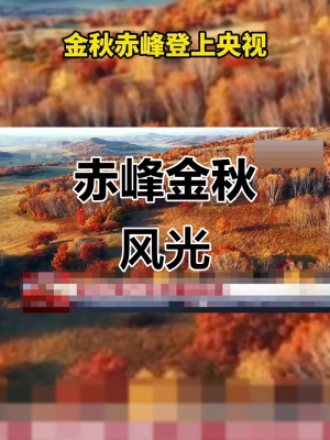 赤峰坤罡武馆电话多少号码-第1张图片