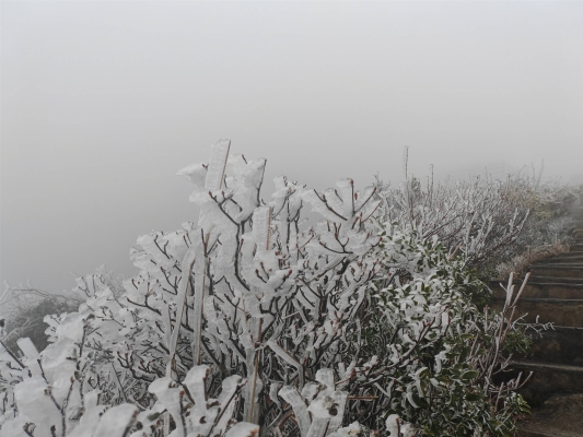 赤峰市春雪挂面厂电话号码-第1张图片